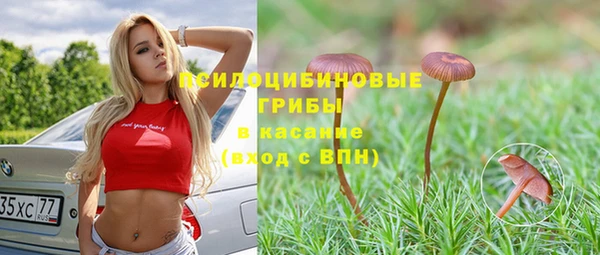 а пвп мука Зеленодольск