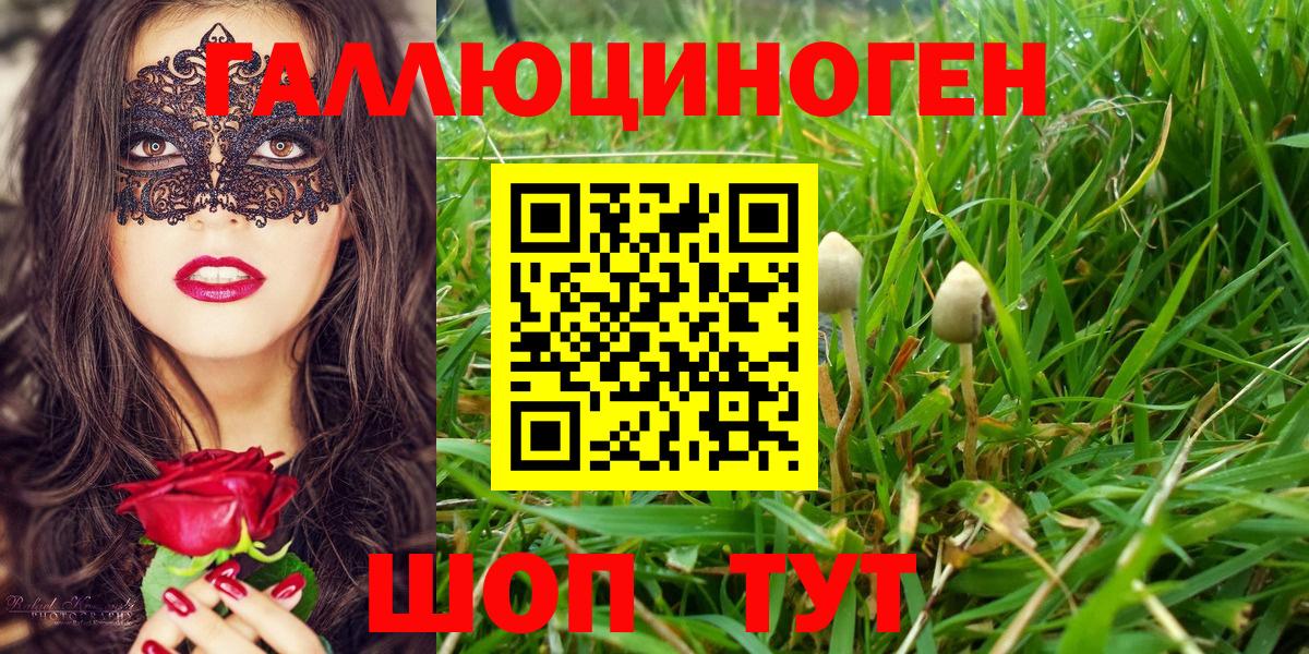 Псилоцибиновые грибы прущие грибы Рыбинск